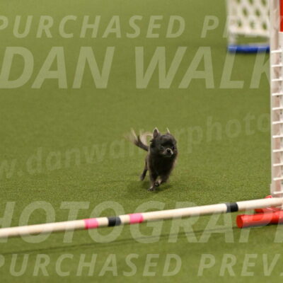 Felina-Samantha-Yanchik-07662