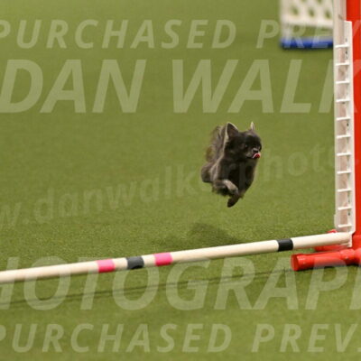 Felina-Samantha-Yanchik-07663