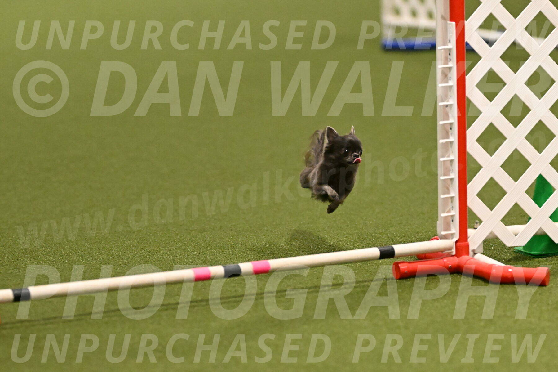 Felina-Samantha-Yanchik-07663