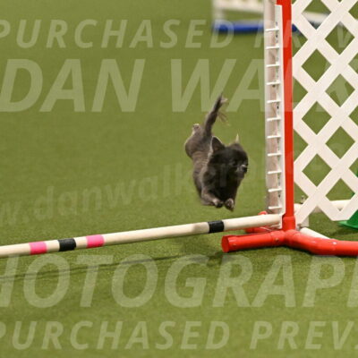 Felina-Samantha-Yanchik-07664