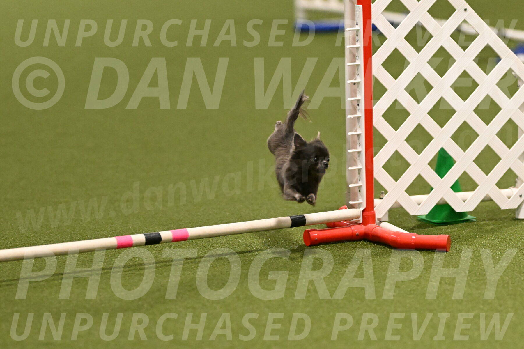 Felina-Samantha-Yanchik-07664