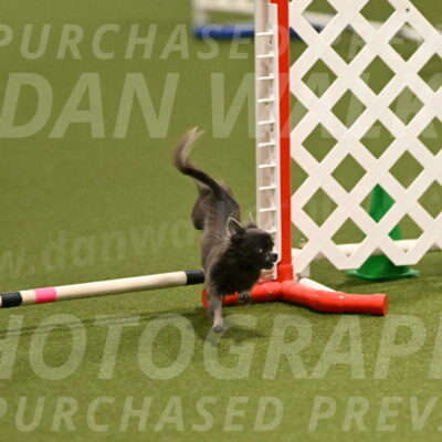 Felina-Samantha-Yanchik-07665