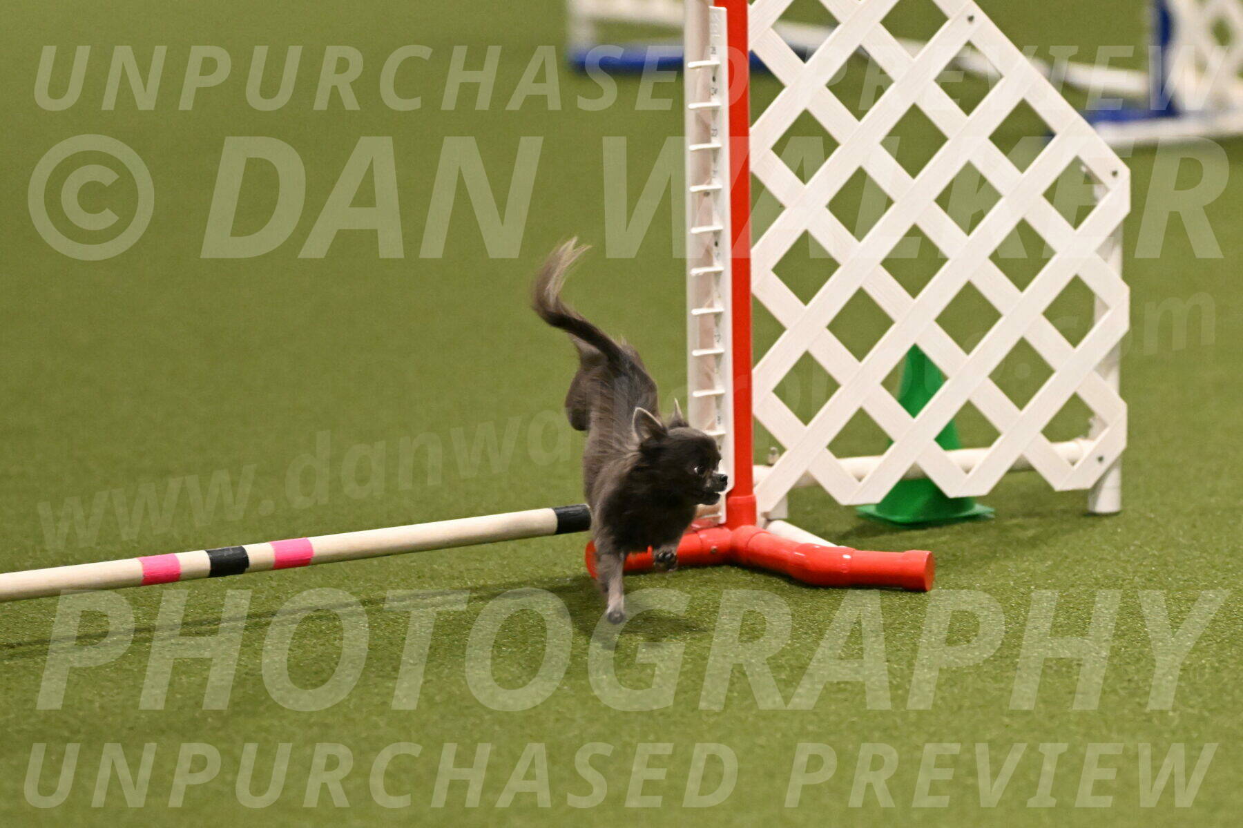 Felina-Samantha-Yanchik-07665