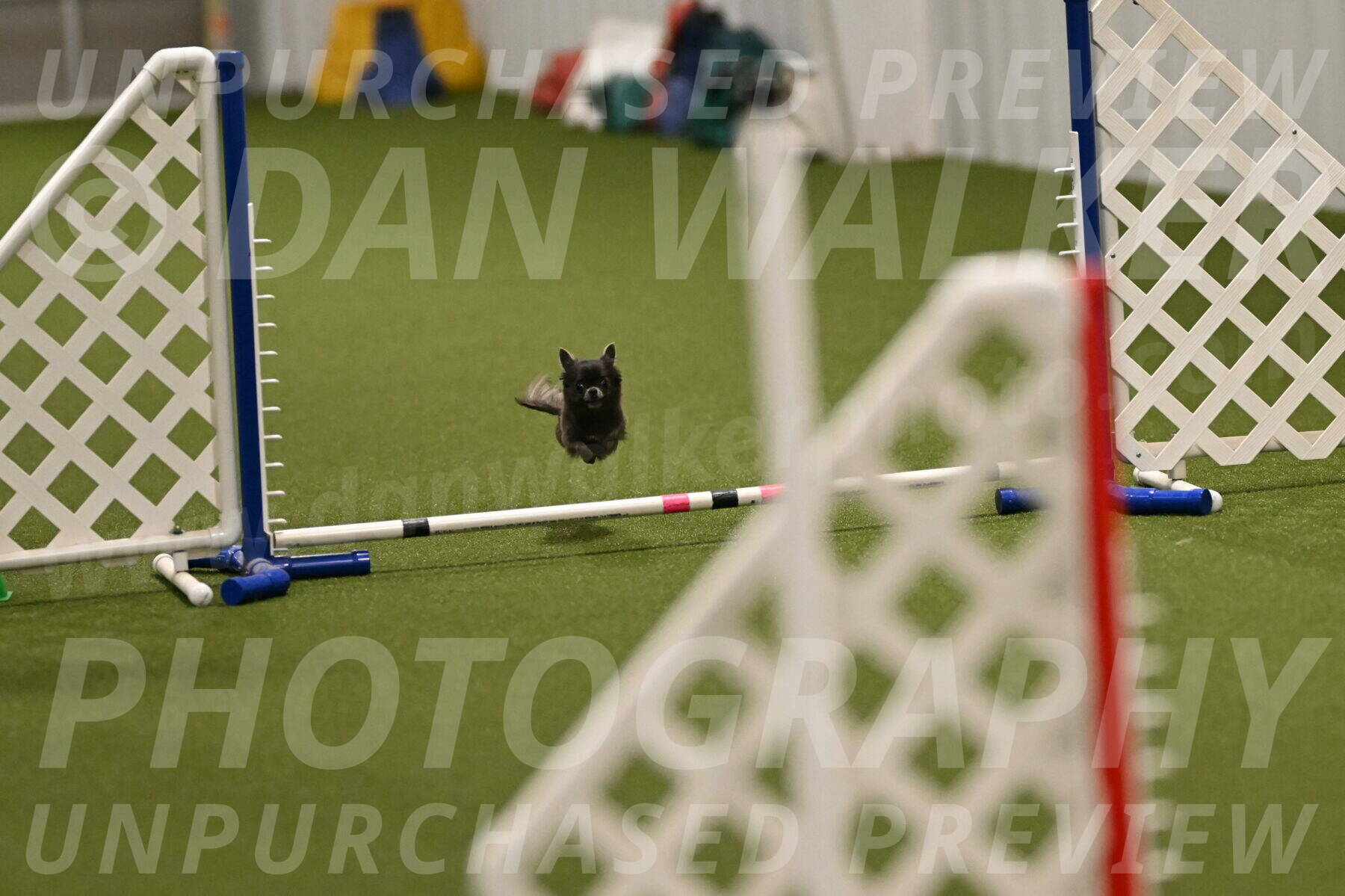 Felina-Samantha-Yanchik-07666