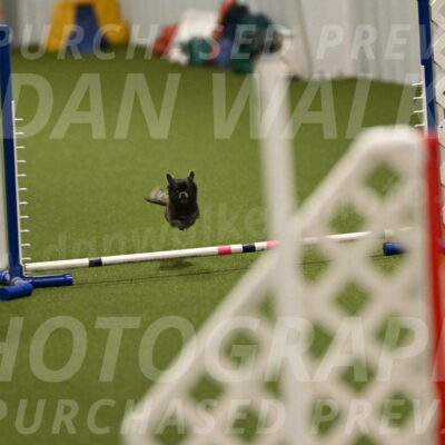 Felina-Samantha-Yanchik-07666