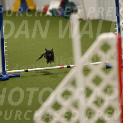 Felina-Samantha-Yanchik-07667