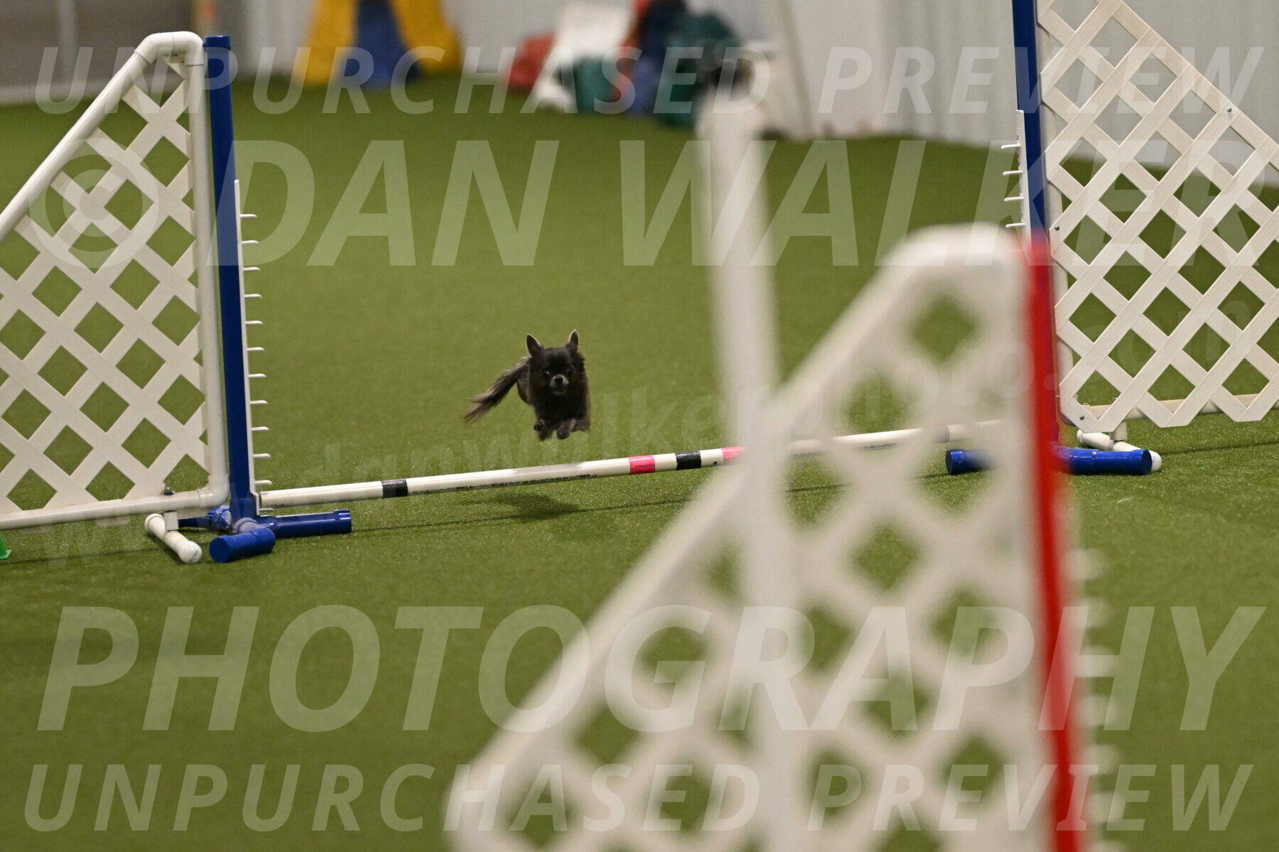 Felina-Samantha-Yanchik-07667