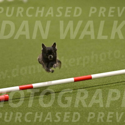 Felina-Samantha-Yanchik-07670