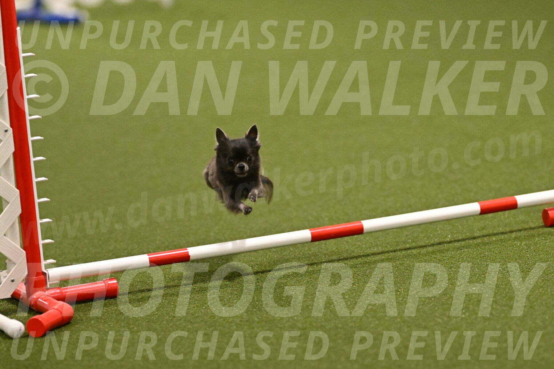 Felina-Samantha-Yanchik-07670