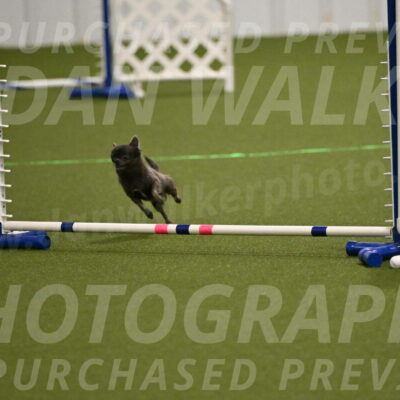 Felina-Samantha-Yanchik-07672