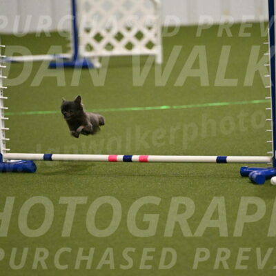 Felina-Samantha-Yanchik-07673