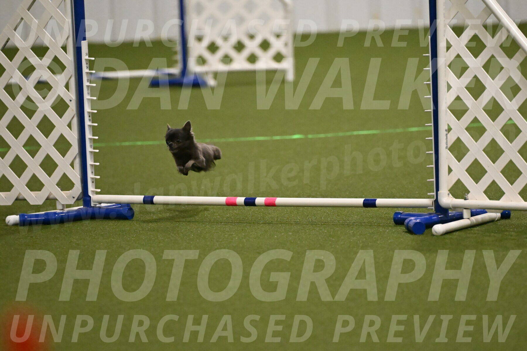 Felina-Samantha-Yanchik-07673