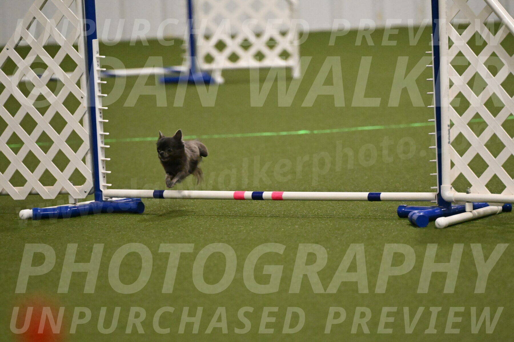 Felina-Samantha-Yanchik-07674