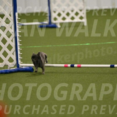 Felina-Samantha-Yanchik-07675