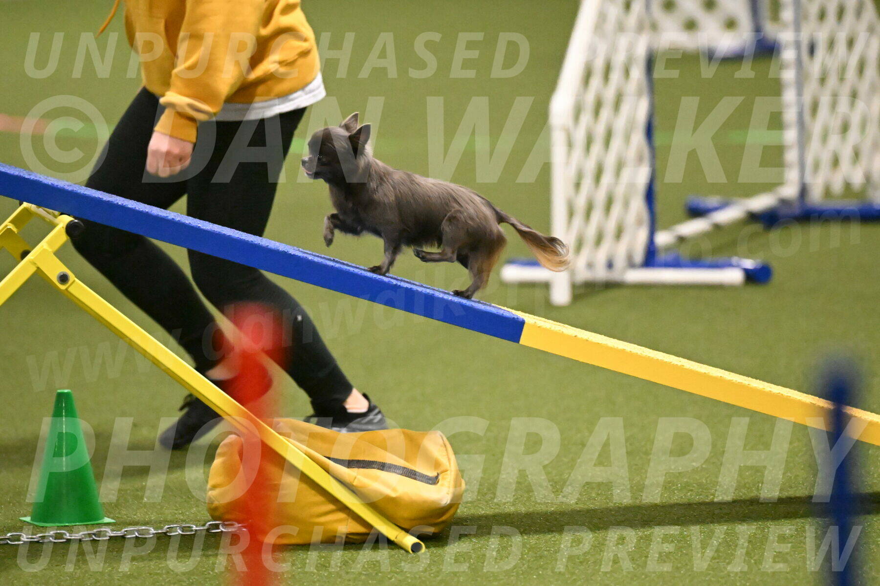 Felina-Samantha-Yanchik-07676