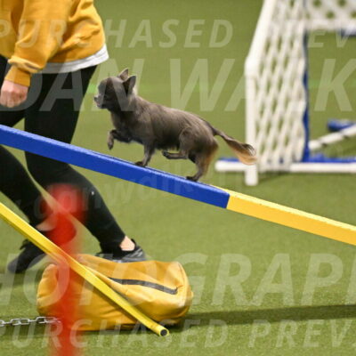 Felina-Samantha-Yanchik-07676