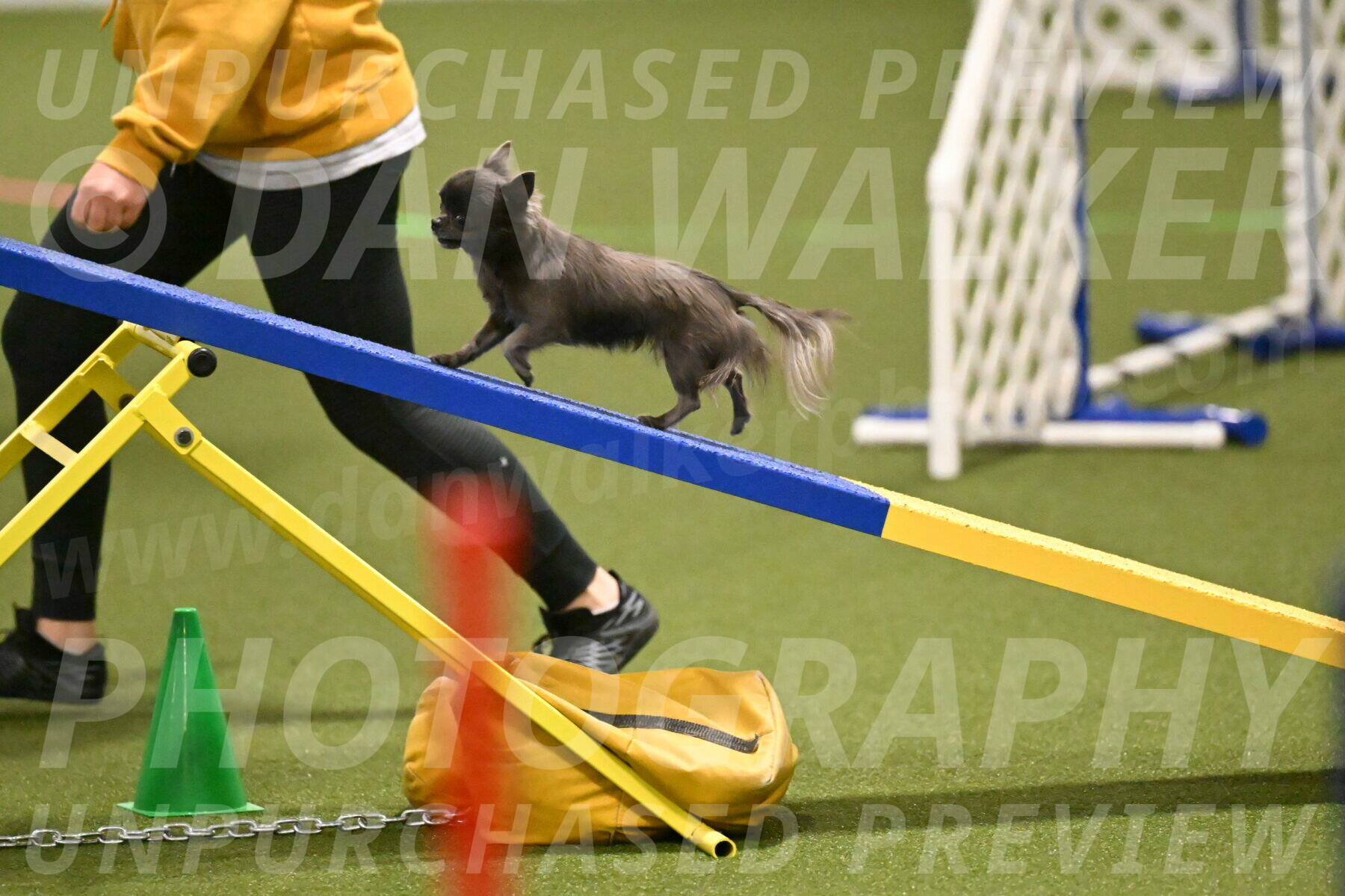 Felina-Samantha-Yanchik-07677