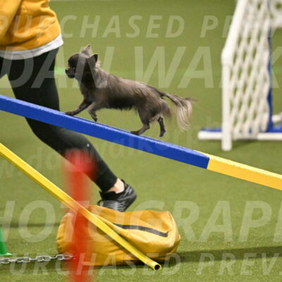 Felina-Samantha-Yanchik-07677