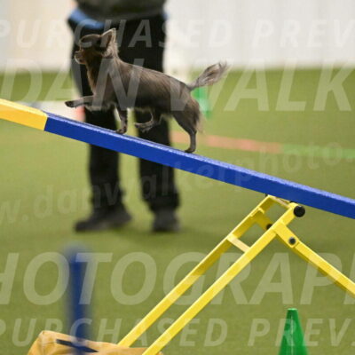 Felina-Samantha-Yanchik-07678