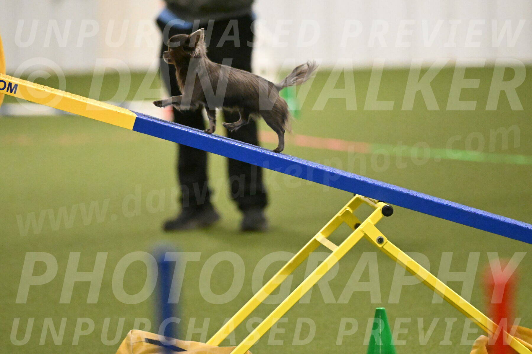 Felina-Samantha-Yanchik-07678