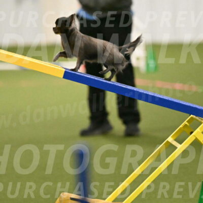 Felina-Samantha-Yanchik-07679