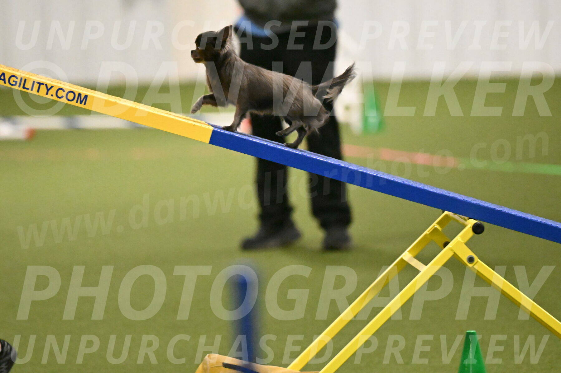 Felina-Samantha-Yanchik-07679