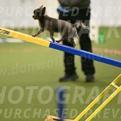 Felina-Samantha-Yanchik-07680