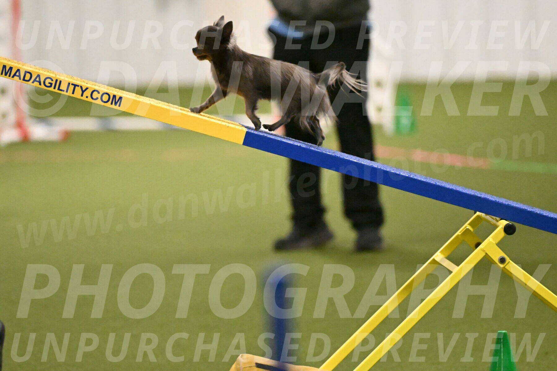 Felina-Samantha-Yanchik-07680