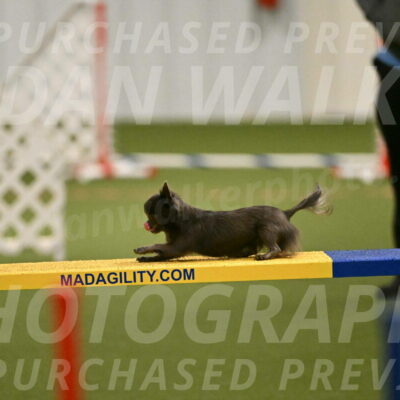 Felina-Samantha-Yanchik-07681