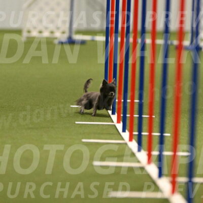 Felina-Samantha-Yanchik-07682