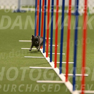 Felina-Samantha-Yanchik-07683