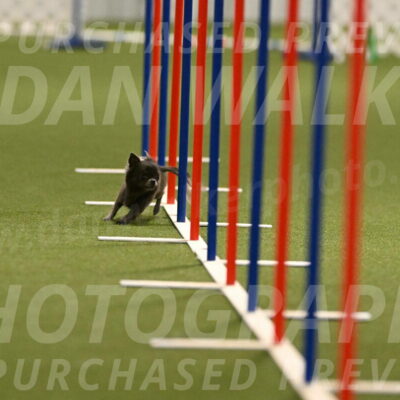 Felina-Samantha-Yanchik-07684