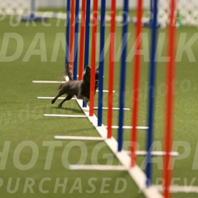 Felina-Samantha-Yanchik-07685