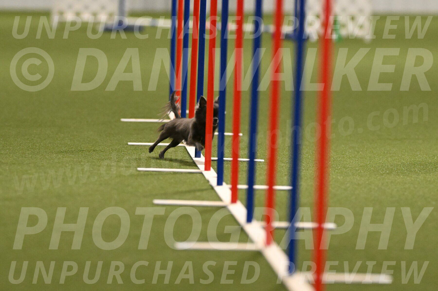 Felina-Samantha-Yanchik-07685