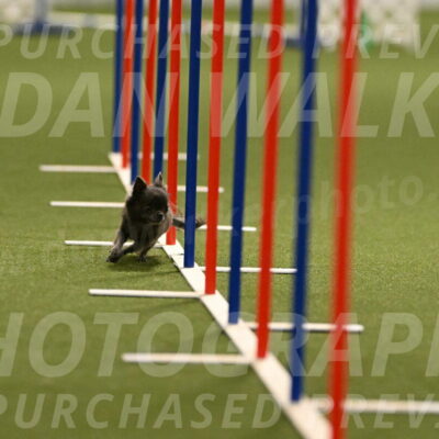 Felina-Samantha-Yanchik-07686