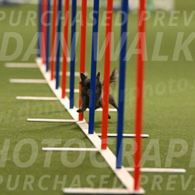 Felina-Samantha-Yanchik-07688