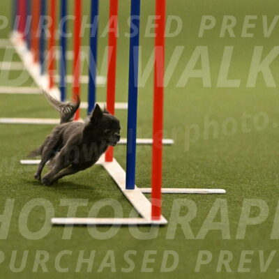 Felina-Samantha-Yanchik-07693