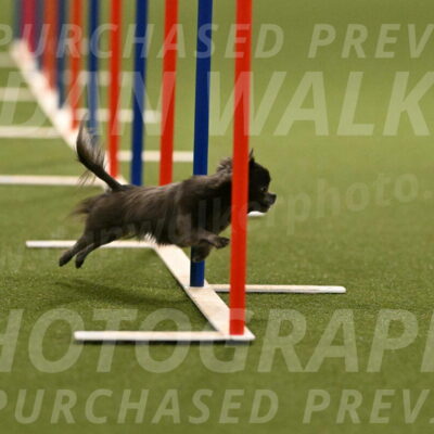 Felina-Samantha-Yanchik-07694