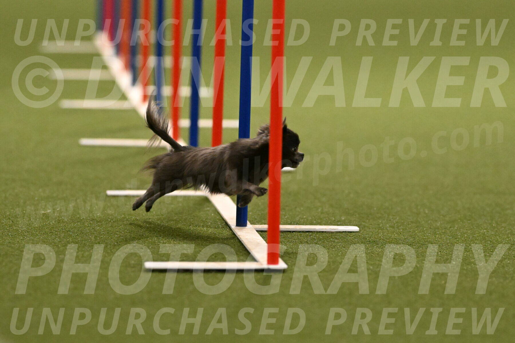 Felina-Samantha-Yanchik-07694