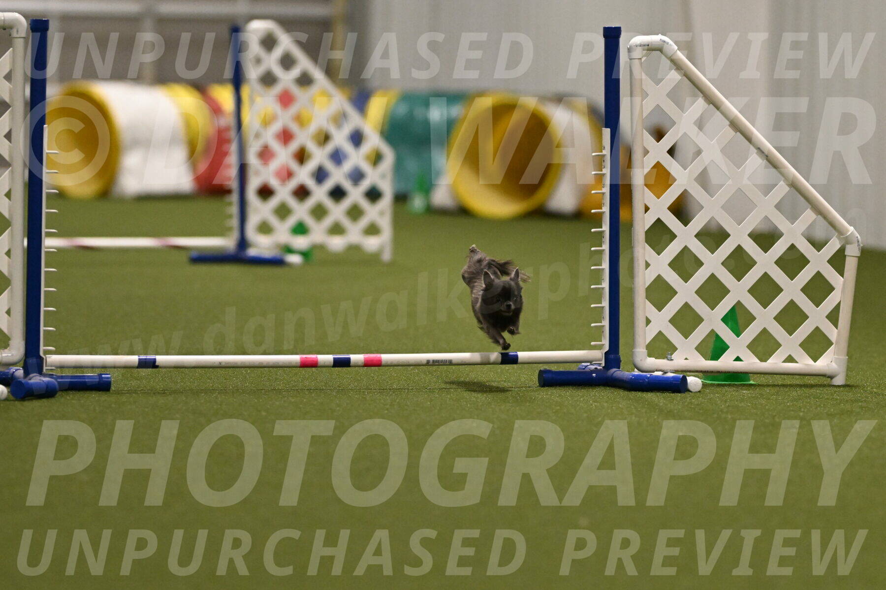 Felina-Samantha-Yanchik-07695