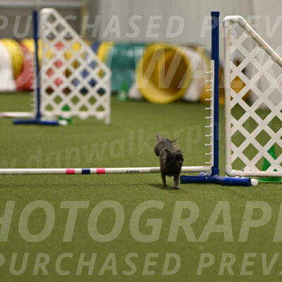 Felina-Samantha-Yanchik-07696