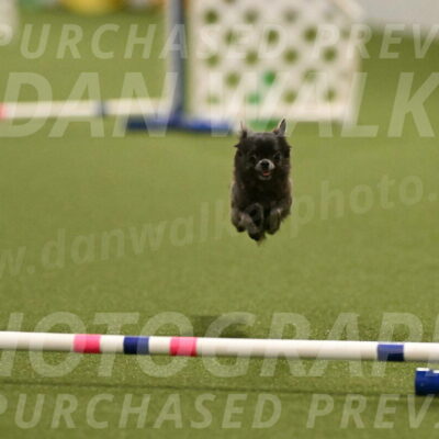 Felina-Samantha-Yanchik-07699