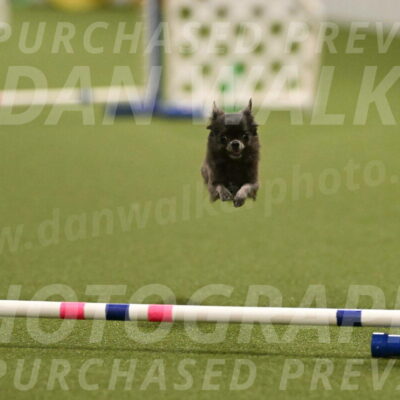 Felina-Samantha-Yanchik-07700