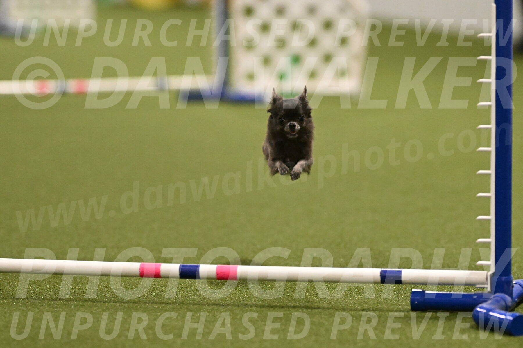 Felina-Samantha-Yanchik-07700