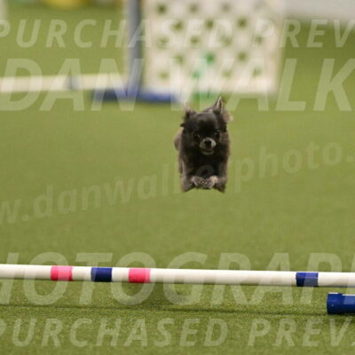 Felina-Samantha-Yanchik-07701