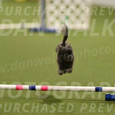 Felina-Samantha-Yanchik-07702