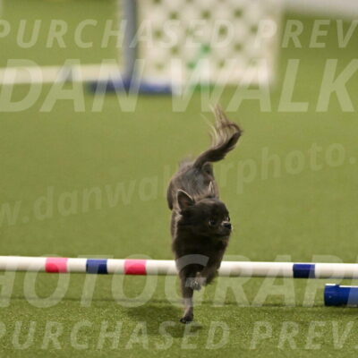 Felina-Samantha-Yanchik-07703