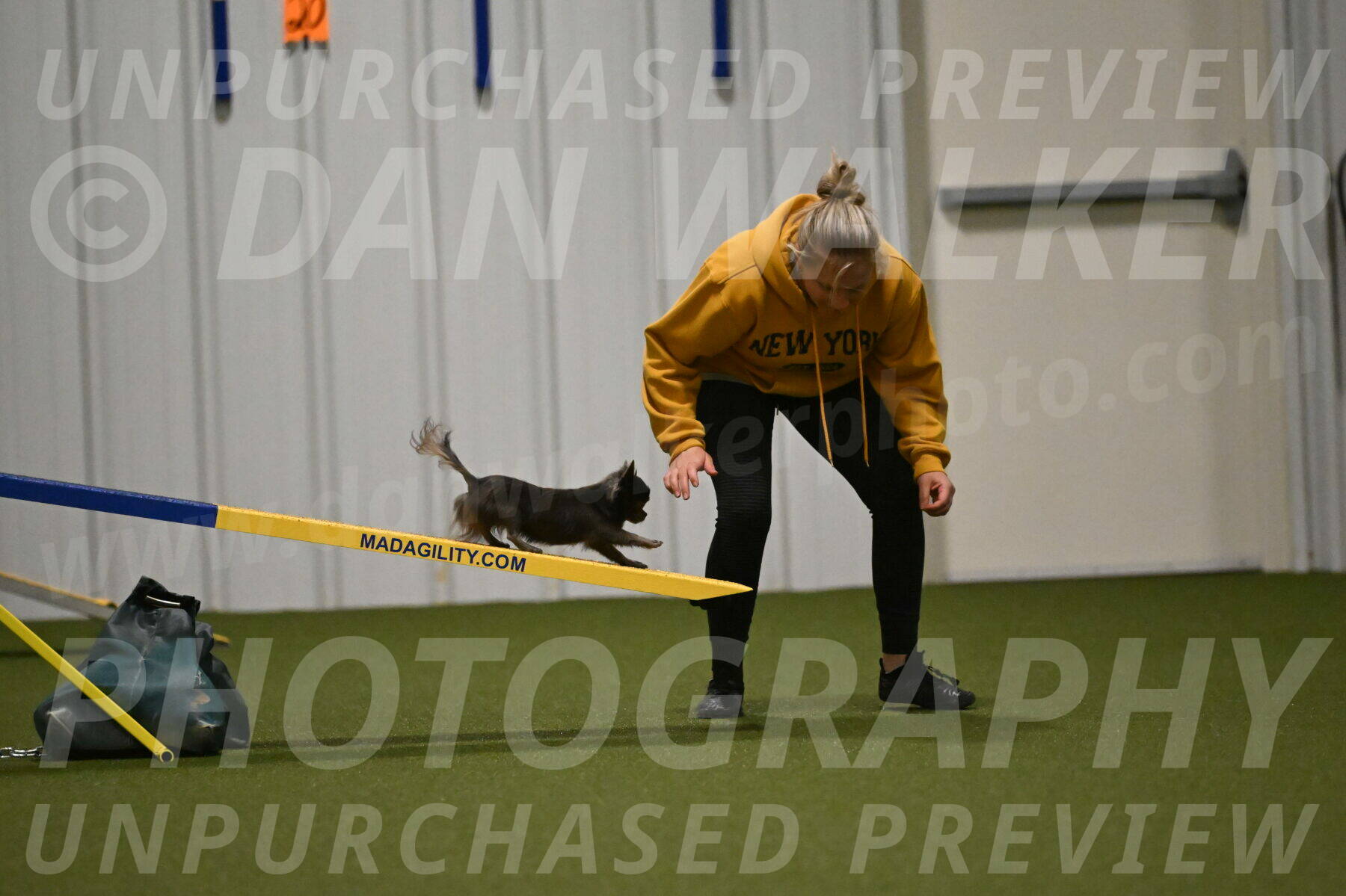 Felina-Samantha-Yanchik-07704