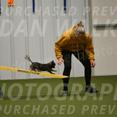 Felina-Samantha-Yanchik-07704