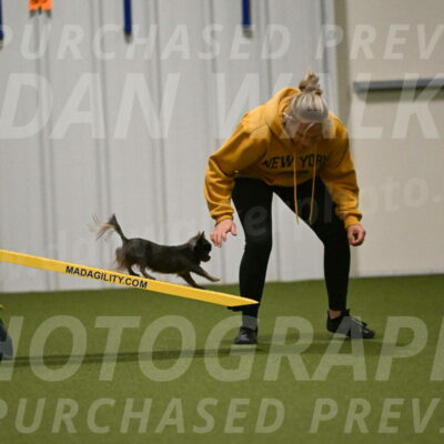 Felina-Samantha-Yanchik-07705